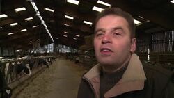 VOICED : Francia quiere vacas ecologicas News Clip