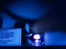 Close-up of Microscope Stock Footage