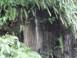 Waterfall. Stock Footage