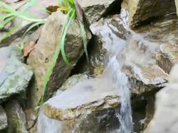 Water spring Stock Footage