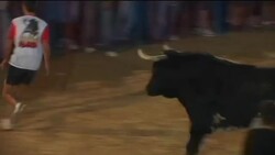 Fame of killer bull ''Mouse'' spreads in Spain Instructional Video
