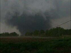 WA large swirling tornado behind trees, on horizon, Strong winds blowing in foreground, USA Stock Footage
