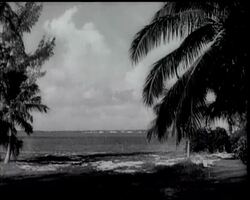 MR CHURCHILL IN MIAMI (FIRST PICTURES) News Clip