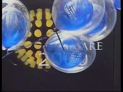 USA: NEW YORK: MILLENNIUM CLOCK STARTED ON TIMES SQUARE News Clip