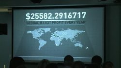 CLEAN : Google weaves a web between human News Clip