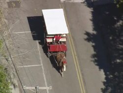 MS AERIAL TS Shot of horse cart on street / South Carolina, United States Stock Footage