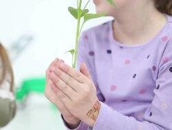 HD: Cute Girl Holding Baby Plant with ground. Stock Footage