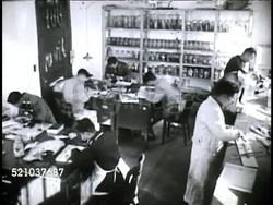MOT 1948: REPUBLIC OF CHINA: FISHING INDUSTRY: WS Chinese men walking toward Bureau of Fisheries building. Male technicians studying fish, standing at counters, sitting at tables, MS Male w/ skeleton, another measuring carcass. Instructional Video