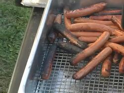 Picnic Hot Dogs Stock Footage