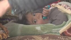 CLEAN : Desperate Syrians huddle in makeshift camps safe for now News Clip