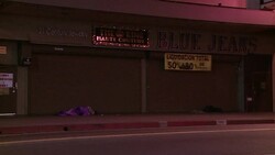 CLEAN : LA volunteers tally homelessness numbers News Clip