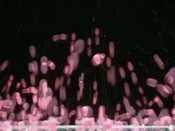MS Wet Rubber balls bouncing on glass / Sao Paulo, Brazil Stock Footage
