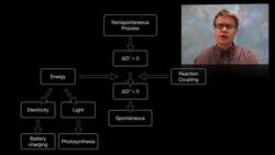 Driving Nonspontaneous Processes Instructional Video