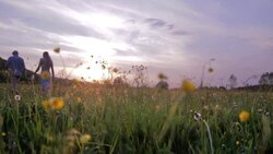 happy couple on picnic Stock Footage