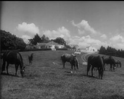 A BABY LEARNS TO WALK (UNIQUE PICTURES) News Clip