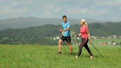 HD DOLLY: Young Couple Nordic Walking Stock Footage