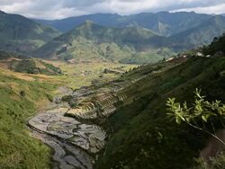 terraced rice field in Tule Village Stock Footage
