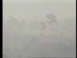 INDONESIA: WILDFIRES RAGE IN DROUGHT-AFFECTED FORESTS News Clip