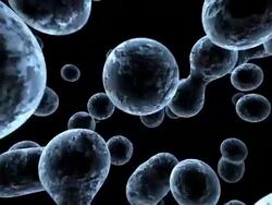 SEM Molecular Structure Stock Footage