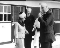 NATIONAL STUD News Clip