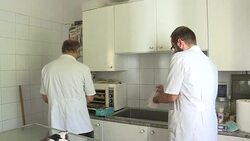 CLEAN : Cyprus volunteers struggle to feed soaring cat population News Clip