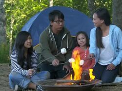 WS Family on Camping Vacation, Roasting Marshmallows Over Camp Fire / Richmond, Virginia, United States Stock Footage