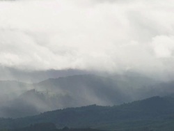 WS PAN View of Rain falls hard on misty hills of Oregon / Cornelius, Oregon, United States  Stock Footage
