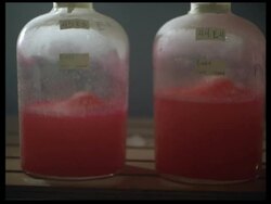 Vaccine production -  jars of salk vaccine Stock Footage