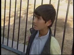 Animals at Kabul's zoo are also victims of war News Clip