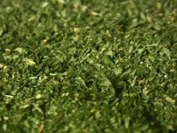 HD Loop: Herbs rotate Stock Footage