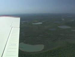 Medium Long Shot aerial tracking-left - An airplane flies over the dense Amazon jungle. / Brazil Stock Footage