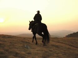 HD: Riding Across Prairie At Sunset Stock Footage