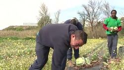 VOICED : Portugals prisons dig deep for food bank needy News Clip