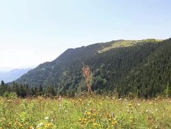 HD: Plateau Stock Footage