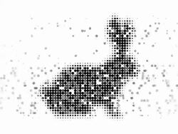 HARE : modern halftone style (LOOP) Stock Footage