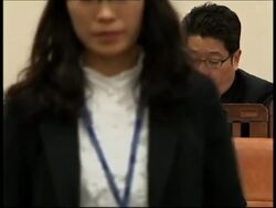 WRAP Expelled IAEA inspectors; anti NKorea protest; SK Vice FM ADDS s'bites News Clip