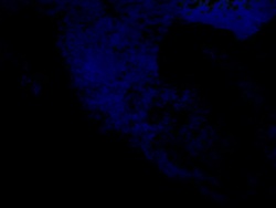 FLOATING MOUNTAINS : black back (TRANSITION) Stock Footage