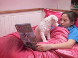 Little girl reading bedtime story to pet Stock Footage
