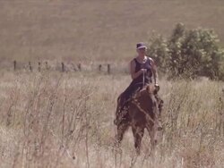Medium long lens, Karen weaves through tall dried grass Stock Footage