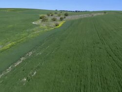 Aerial fields in Ramot Menashe, Galilee, Israel Stock Footage