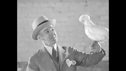 Prize Winning Rooster News Clip