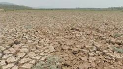 arid climate Stock Footage