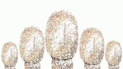 SELFIE : team - dense (LOOP) Stock Footage