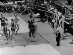 Kentucky Wildcats win N.C.A.A. Hoop Championship Stock Footage