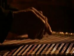 CU hands strumming Kanun, an Arabic musical instrument, Syria (sound available) Stock Footage