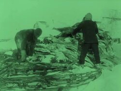 South - Sir Ernest Shackleton's Antarctic Journey on the Endurance Stock Footage