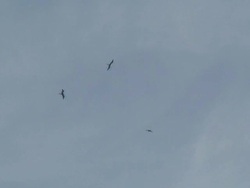 Frigates in the air Stock Footage