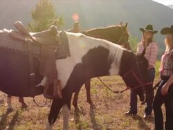 Pan up to women with horses in mountain meadow Stock Footage