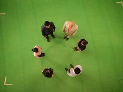 Business people forming alphabet O Stock Footage