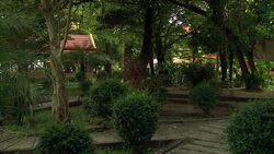 Wat Yan Yao temple in Thailand News Clip